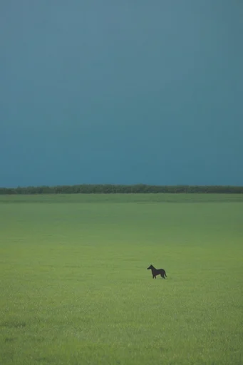 Cinematic Minimalist Liminality style reference image — cinematic film grain
