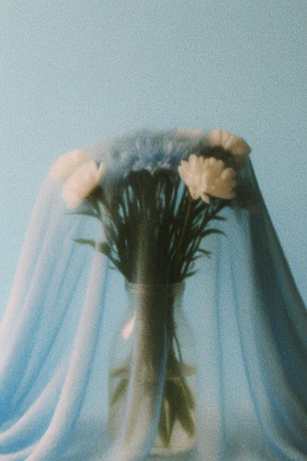 Ethereal Minimalist Melancholy style reference image — diffused lighting