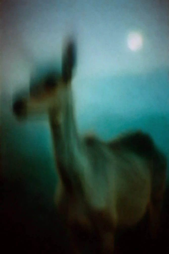 Ethereal Nocturnal Haze style AI image example 3