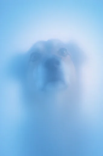 Ethereal Aura Minimalism style reference image — chromatic blur