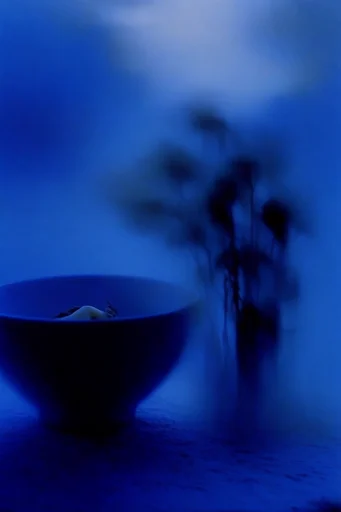 Ethereal Cobalt Nocturne style reference image — high-contrast noir lighting