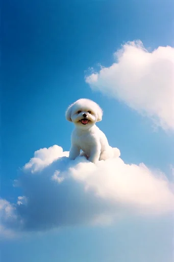 Ethereal Surreal Minimalism style reference image — airy dreamlike atmosphere