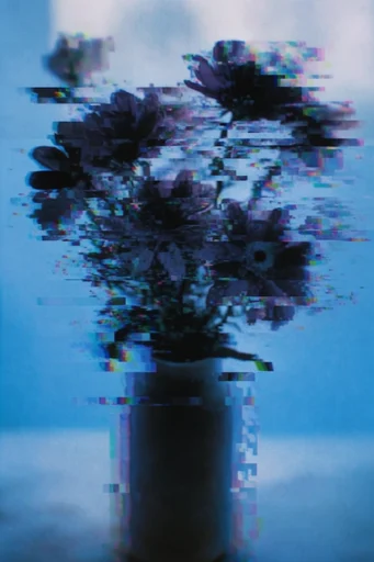 Analog Glitch Gothic style reference image — horizontal distortion