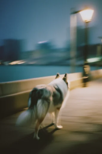 Cinematic Nocturnal Blur style reference image — chromatic aberration