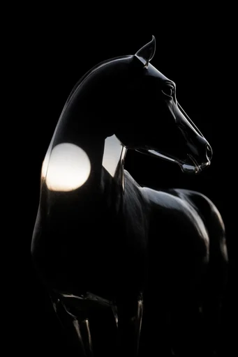 Monochrome Refractive Minimalism style reference image — high-contrast monochrome