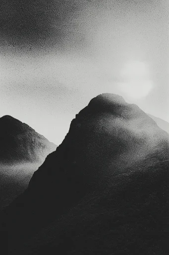 Stark Analog Noise style reference image — high-contrast monochrome