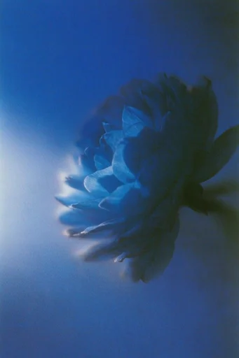 Nocturnal Azure Haze style reference image — nocturnal atmospheric haze