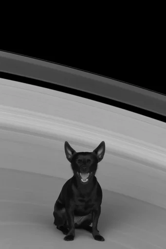 Monochrome Algorithmic Void style reference image — scientific celestial texture