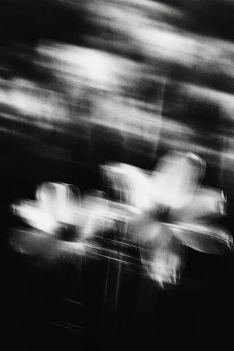 Spectral Motion Noir style reference image — lo-fi experimental printmaking