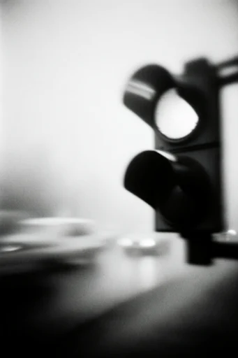 Ethereal Noir Grain style reference image — high-contrast monochrome