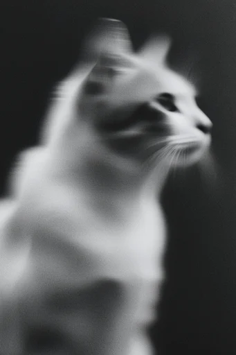 Ethereal Grain Monochrome style reference image — analog noir texture