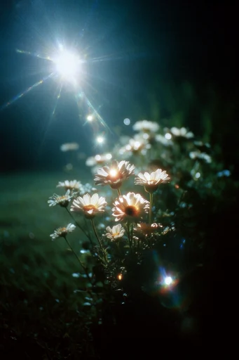Nocturnal Prismatic Cinematic style reference image — rainbow light leaks