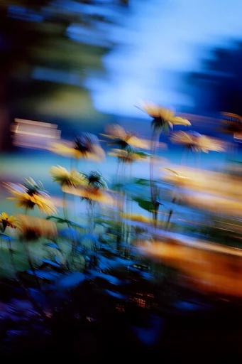 Kinetic Nocturnal Impressionism style reference image — cinematic night atmosphere