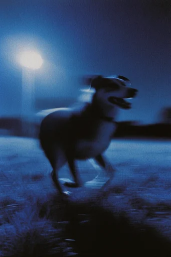 Spectral Indigo Nocturne style reference image — overexposed luminescent glow