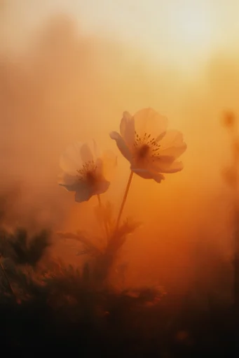 Amber Atmospheric Solitude style reference image — existential scale