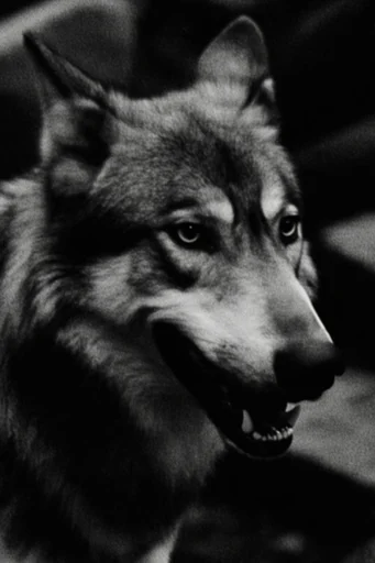 Gritty Monochrome Abstraction style AI image example 3