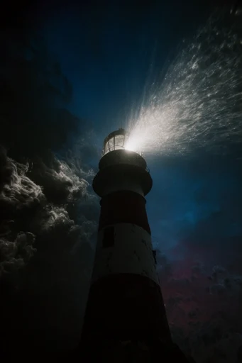 Cinematic Nocturnal Silhouette style reference image — cool-toned highlights