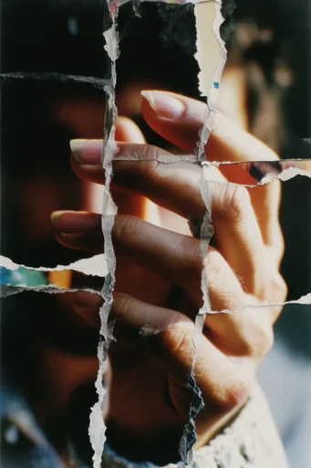 Fragmented Analog Collage style reference image — torn paper edges