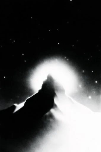 High-Contrast Ethereal Noir style reference image — high-contrast monochrome