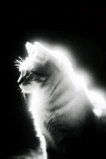 Ethereal Noir Luminescence style reference image — spectral light bloom