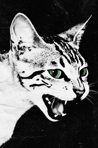 Gritty Monochromatic Surrealism style reference image — distressed zine aesthetic
