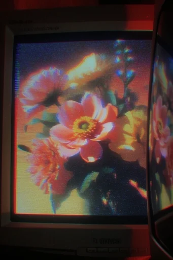 Analog Glitch Noir style reference image — film grain and dust