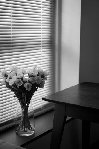 Stark Monochromatic Geometry style reference image — solitary figure