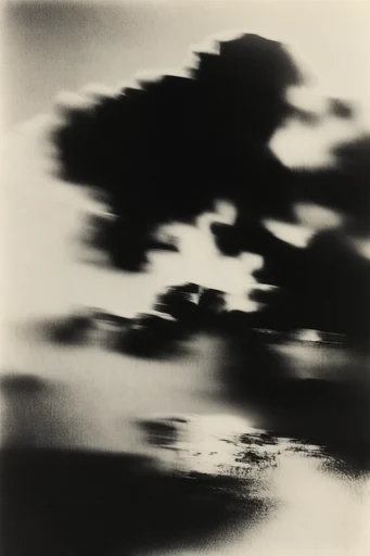 Ethereal Grain Noir style AI image example 2