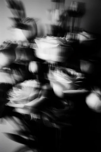 Haunting Kinetic Monochrome style reference image — haunting dreamcore