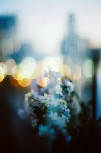 Cinematic Twilight Impressionism style reference image — dreamlike atmosphere