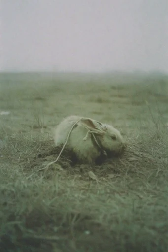 Misty Liminal Desolation style AI image example 3