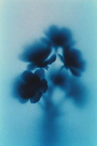 Ethereal Grain Aura style reference image — ethereal dreamscape