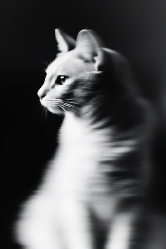 Spectral Kinetic Noir style reference image — ghostly motion trails
