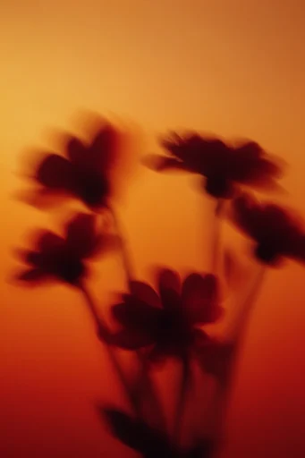 Luminous Amber Silhouette style reference image — minimalist composition