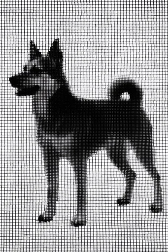 Monochrome Geometric Abstraction style reference image — optical distortion