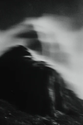 Monochrome Spectral Noir style reference image — high-contrast monochrome