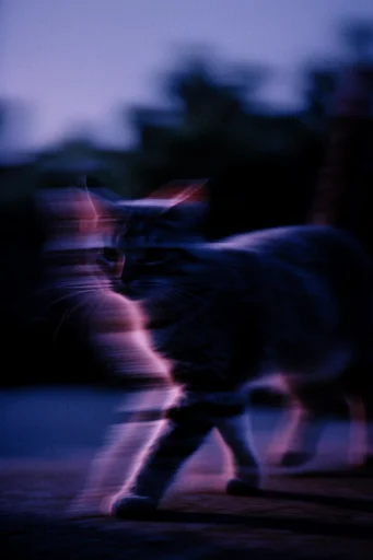 Spectral Nocturnal Blur style reference image — liminal space photography