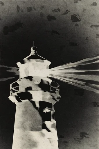 Monochrome Analog Disturbance style reference image — stark silhouette