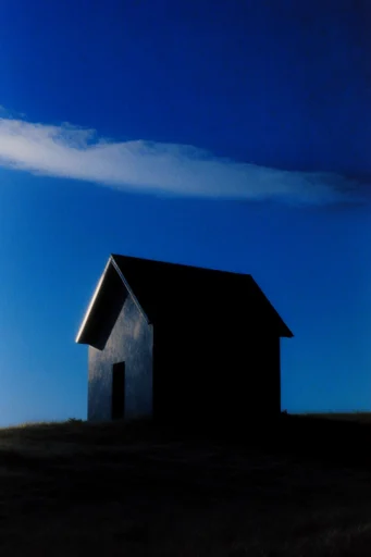 Nocturnal Cobalt Silhouette style reference image — analog film grain
