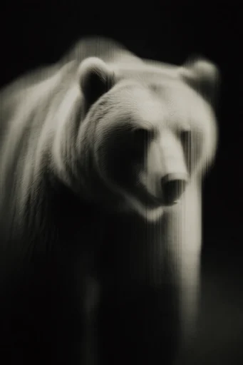 Avant-Garde Darkroom Noir style reference image — analog film grain