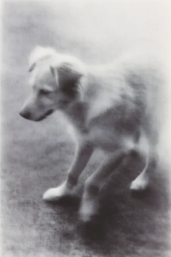Spectral Monochrome Etherealism style reference image — high-contrast black and white