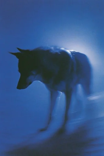 Nocturnal Azure Haze style AI image example 3