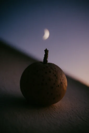 Analog Twilight Solitude style reference image — twilight silhouette
