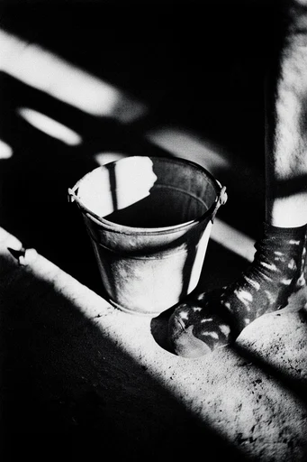 Stippled Chiaroscuro Noir style reference image — stippled grain texture