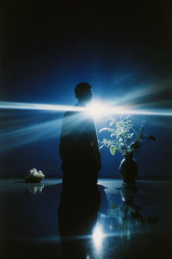 Ethereal Nocturnal Luminance style reference image — anamorphic lens flare