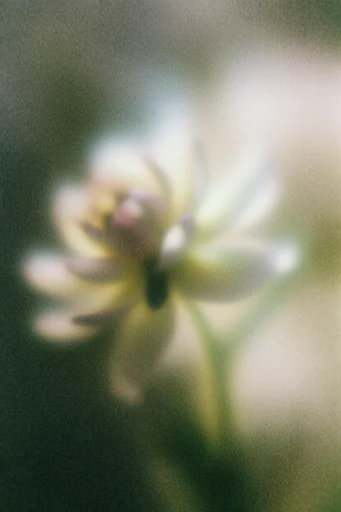 Atmospheric Grainy Abstraction style reference image — diffused glowing light