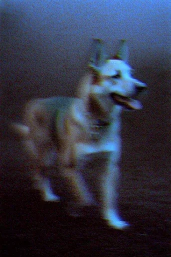 Ethereal Analog Dread style reference image — low-fidelity aesthetic