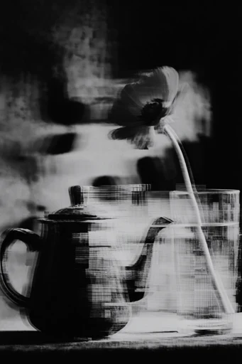 Fragmented Monochrome Collage style reference image — high-contrast monochrome