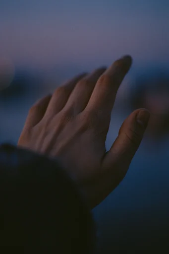 Cinematic Twilight Solitude style reference image — muted desaturated tones