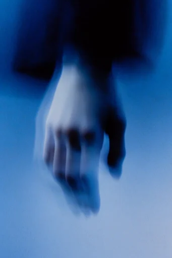 Spectral Indigo Motion style reference image — ghostly biomorphic silhouette